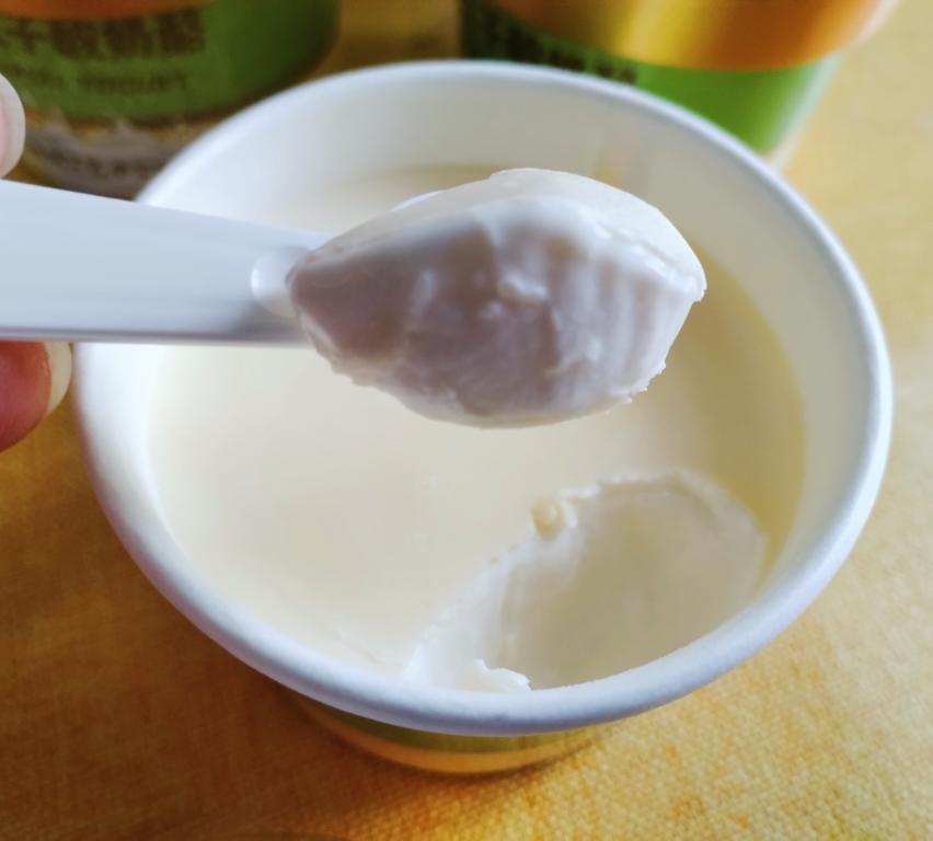 网红奶皮子酸奶（小美版）