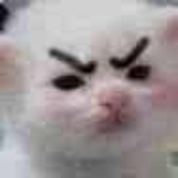 右尬尬