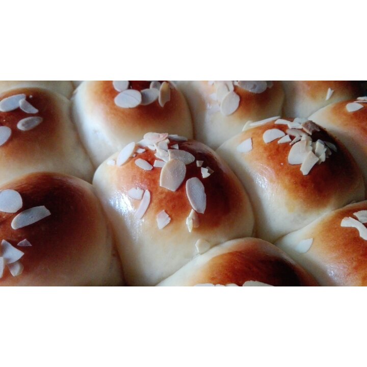 鲜奶油小餐包（一次发酵）