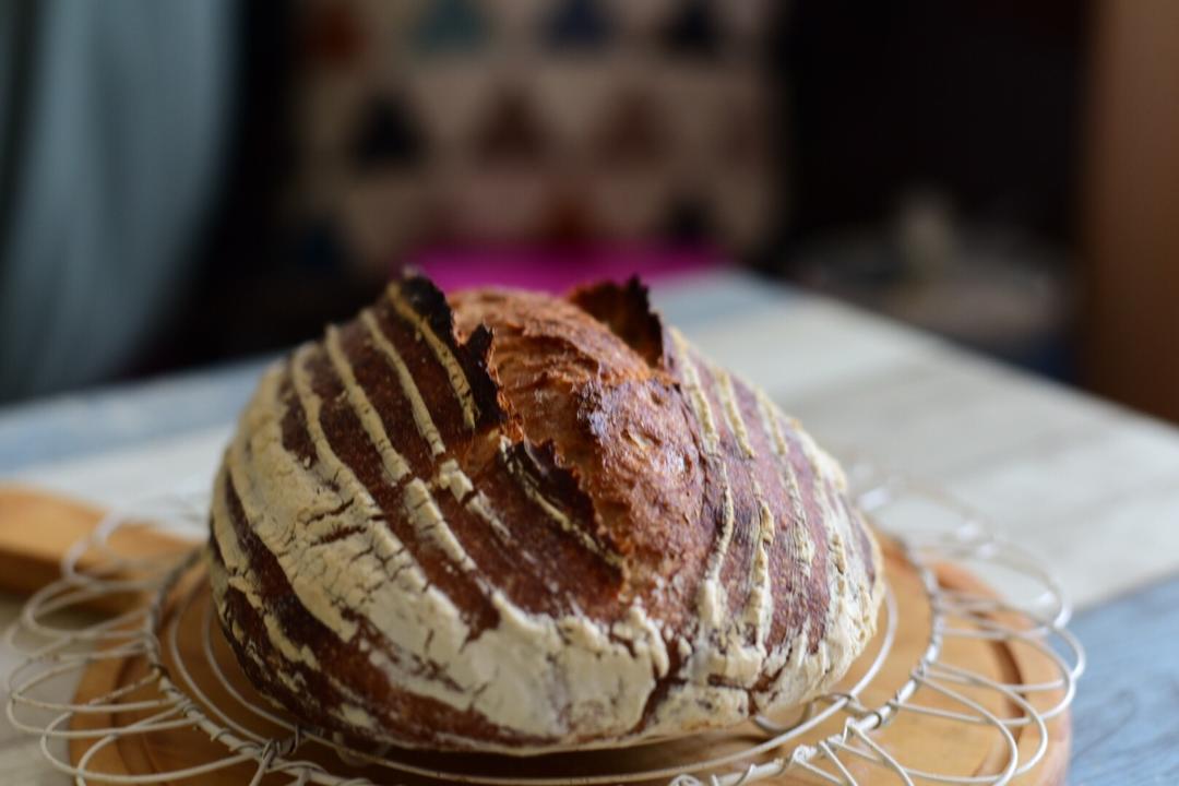 天然酵母全麦栗子乡村欧包