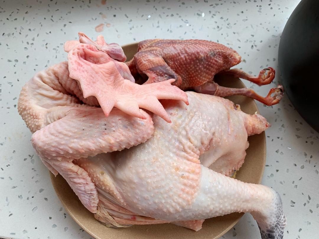 鹿茸党参鸽子土鸡汤的做法 步骤1