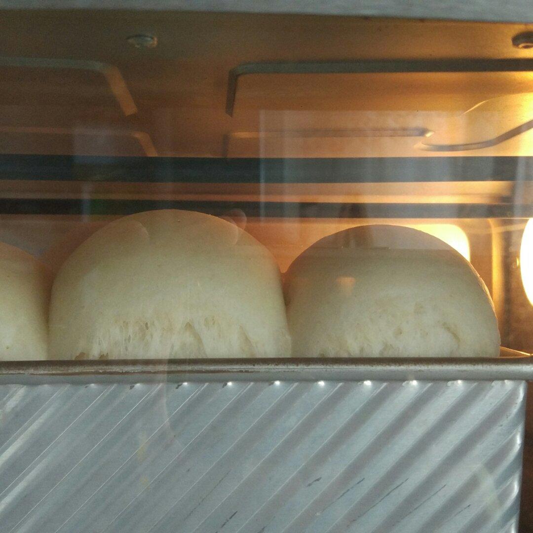 金大旺的清淡全麦吐司