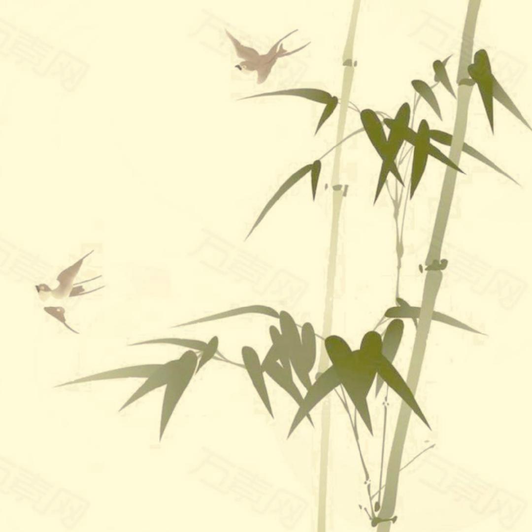 lily59057