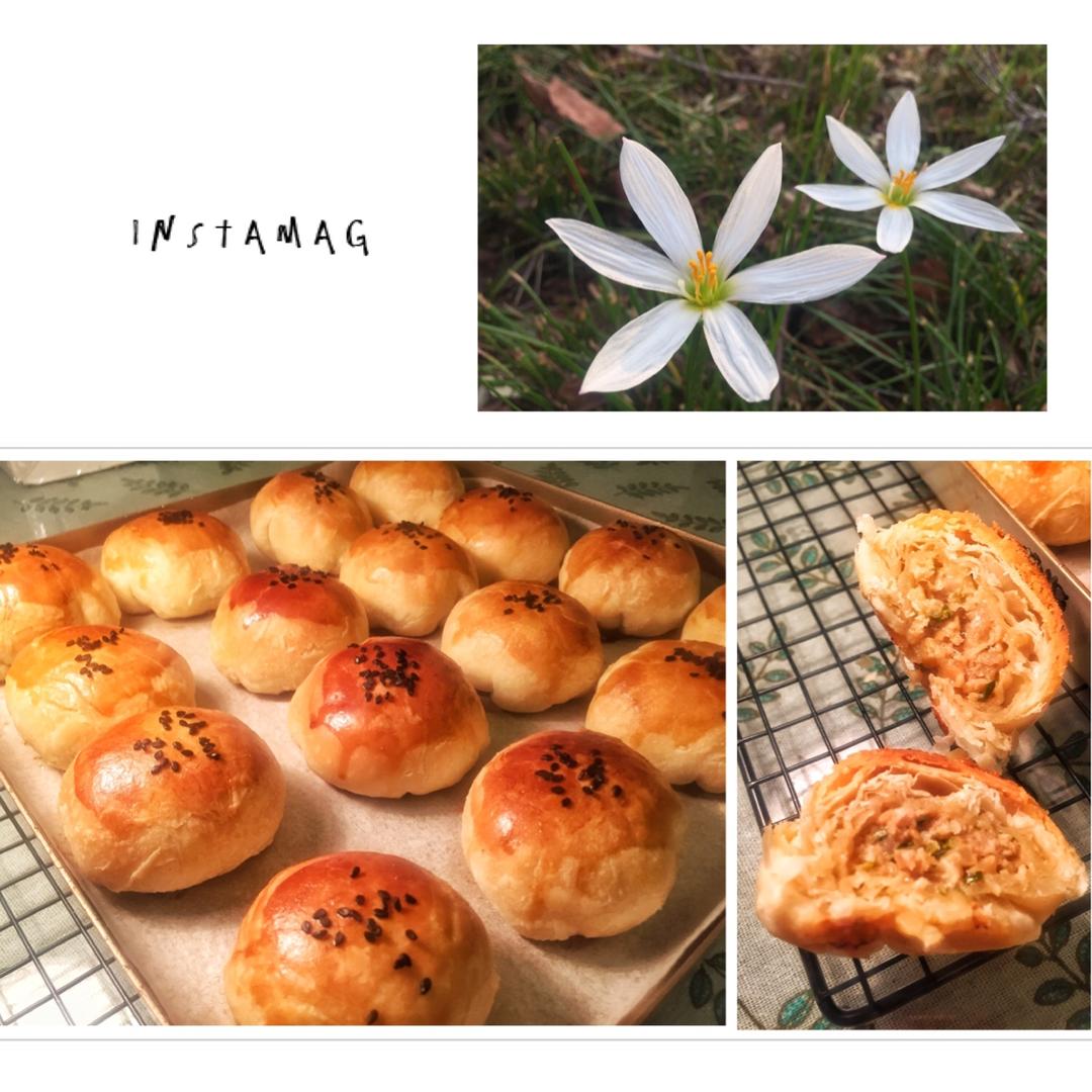 泳式鲜肉榨菜月饼