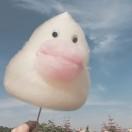 柒柒qaq