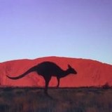 回首向來蕭瑟處