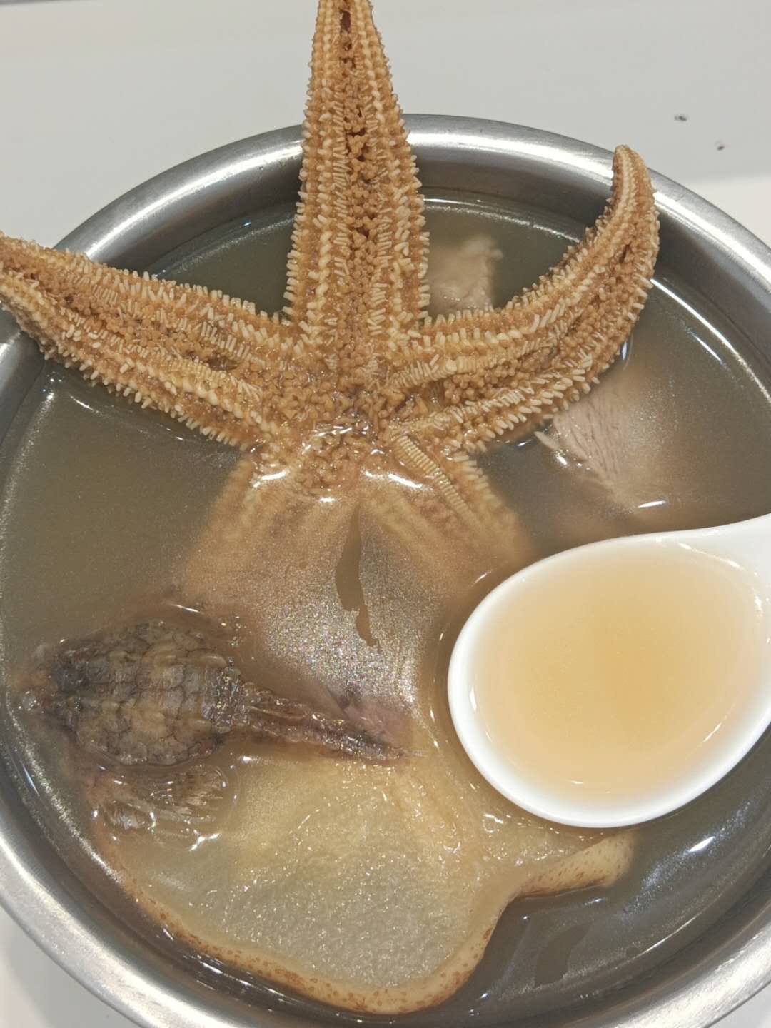 海星海麻雀润肺汤