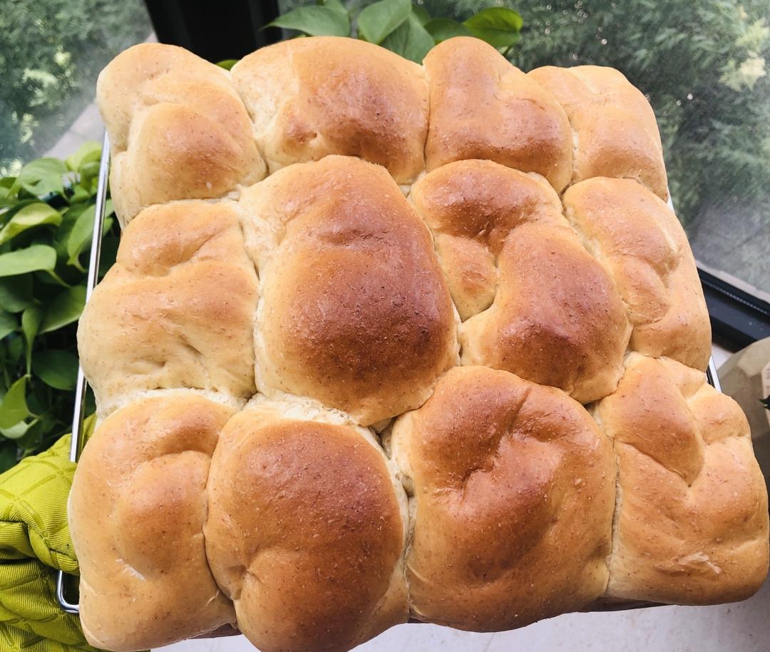 蜂蜜老面包【无糖更健康】