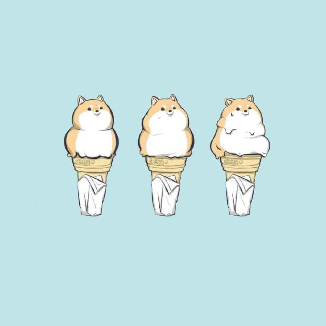 秦岭深处去搬砖