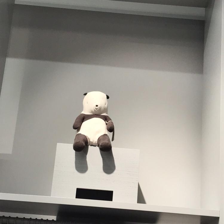 每天喵下身体好