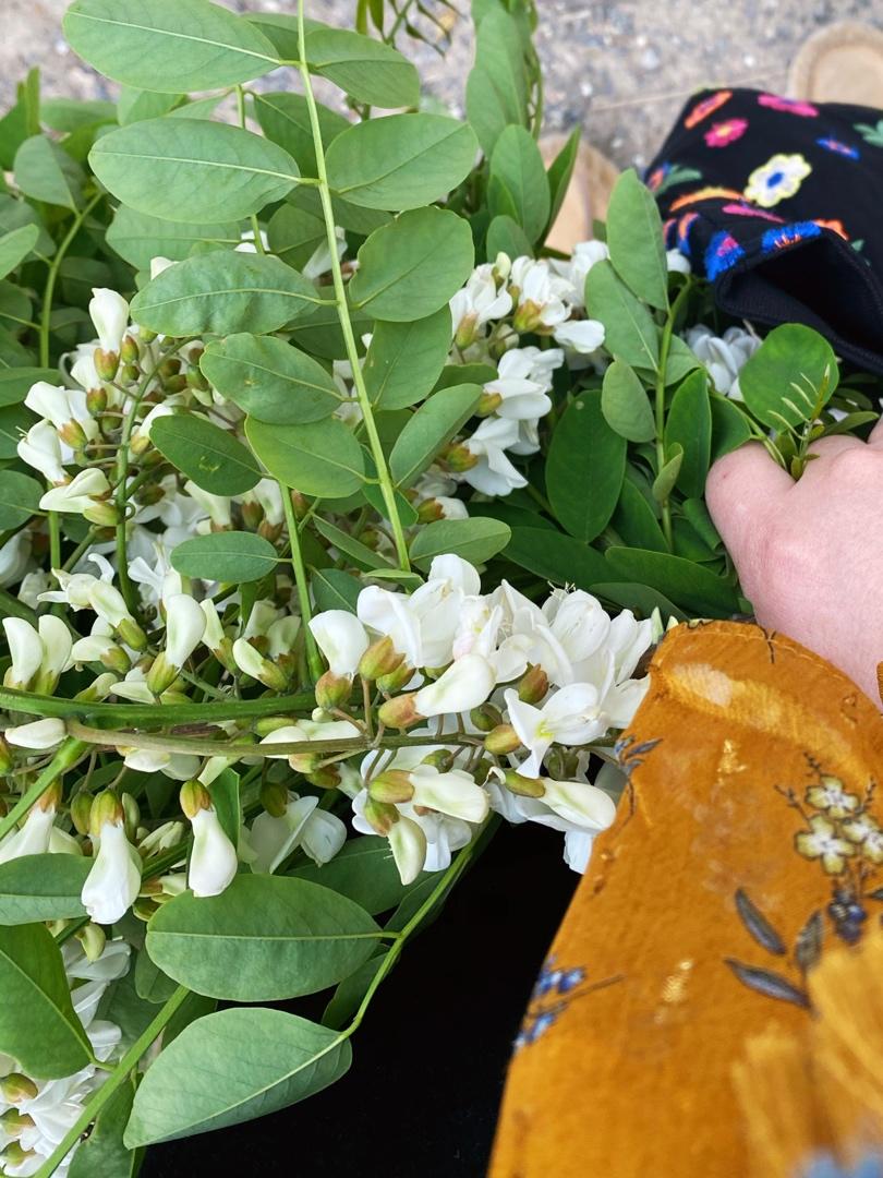 【野菜季】槐花黑芝麻桃酥