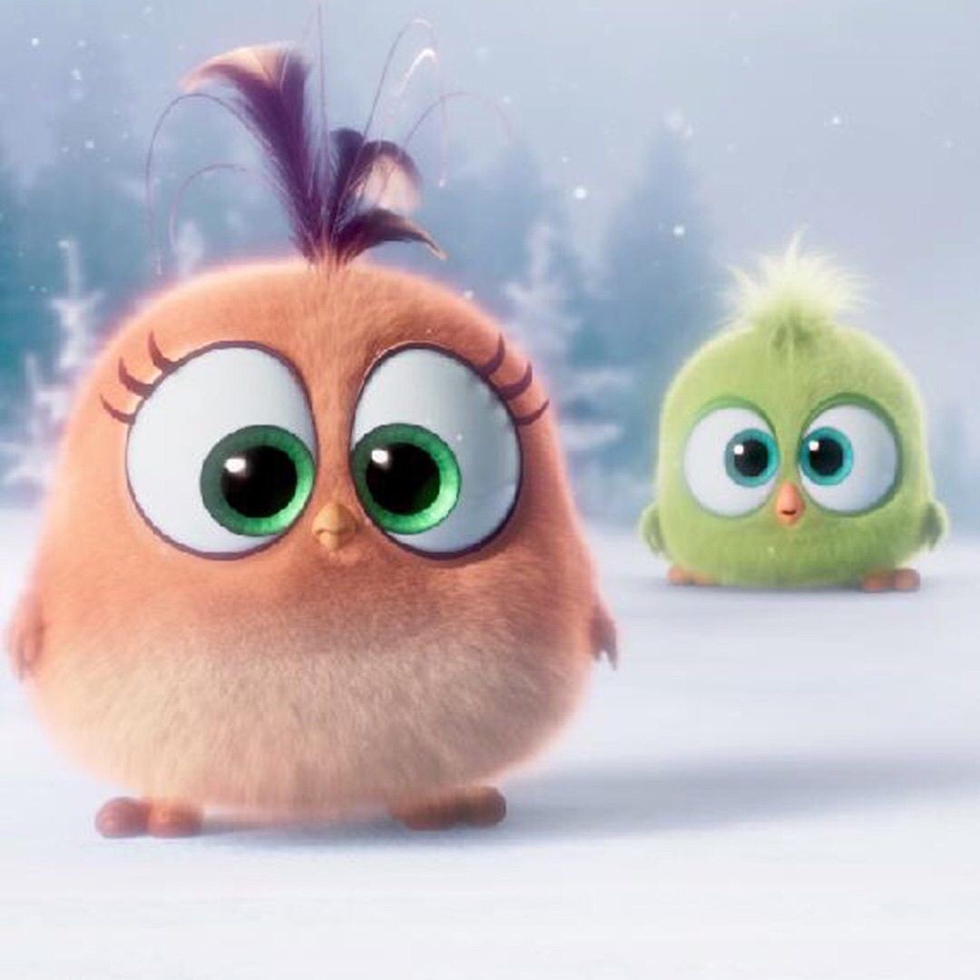 手机用户2808_3elj的厨房