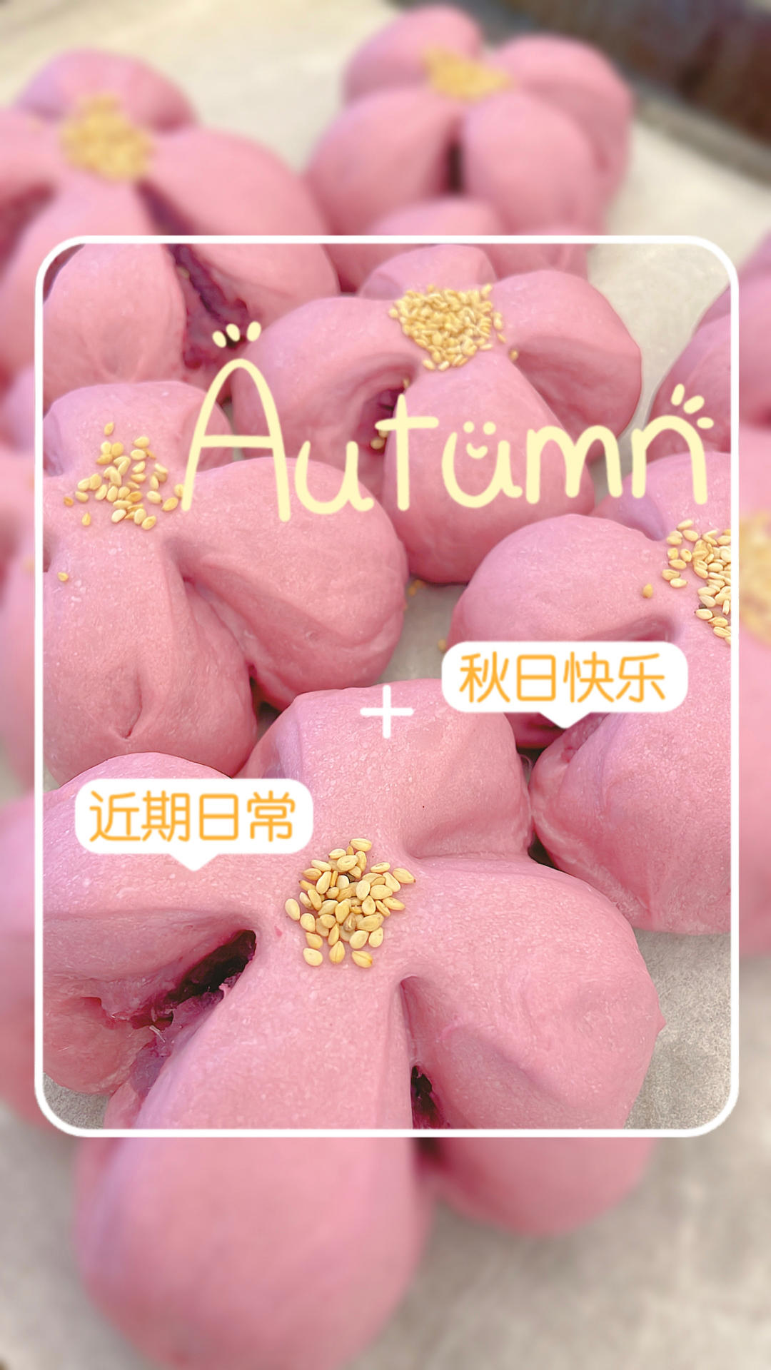 紫丁香🌸紫薯软面包