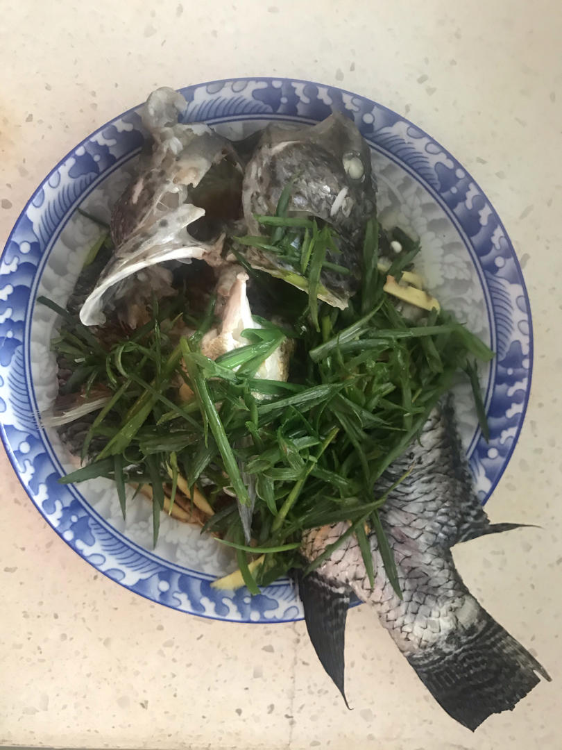 清蒸鱼（鲈鱼/多宝鱼/桂花鱼/石斑鱼……）