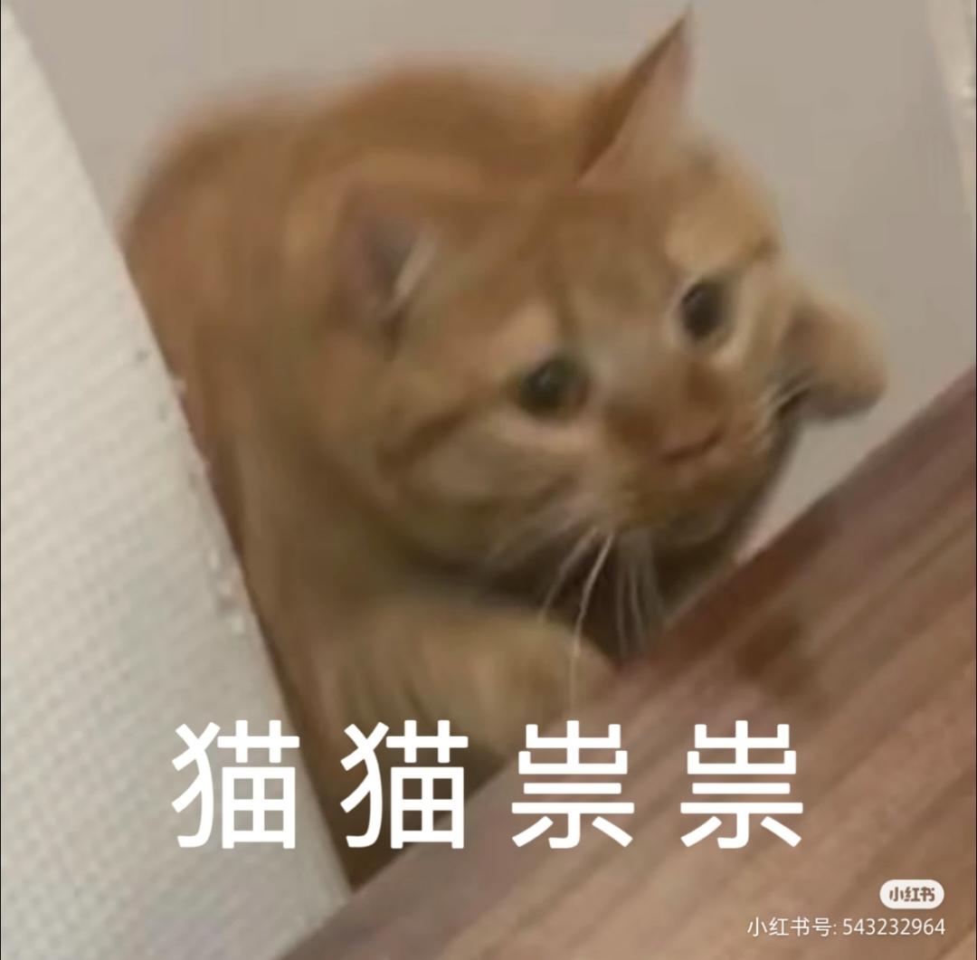 慕仙君