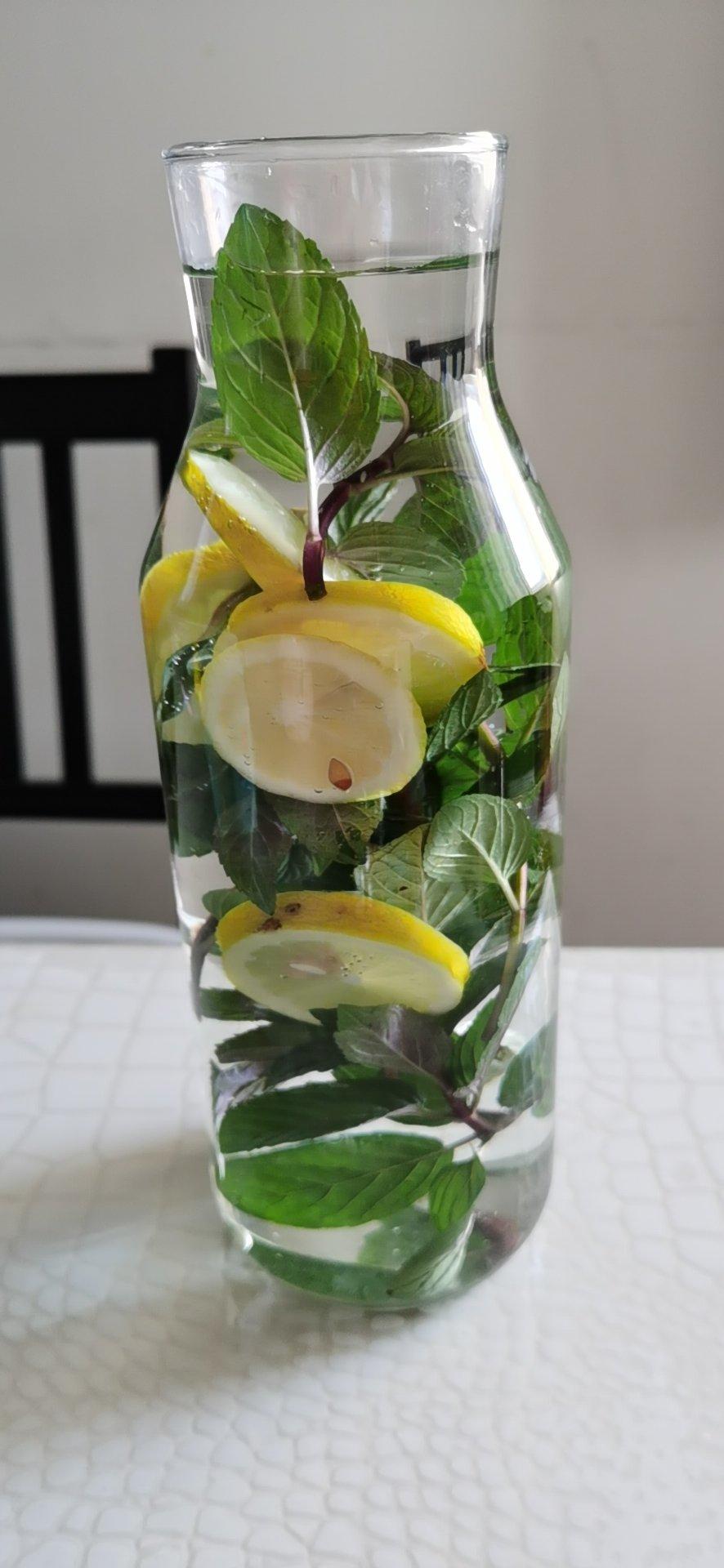 keto生酮-薄荷柠檬水