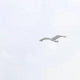 不爱做饭的时候