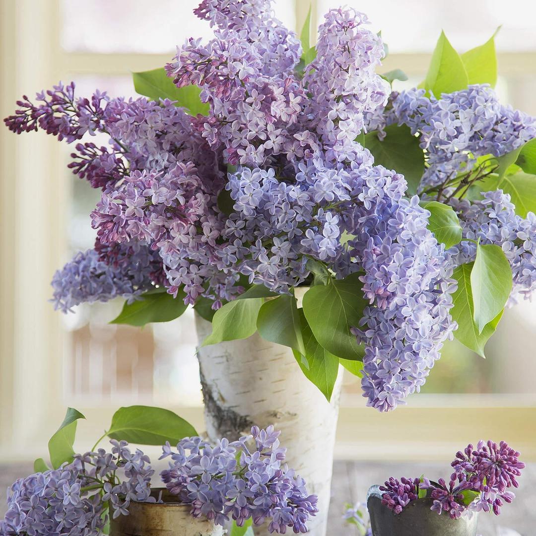 一个被代码耽误的厨子