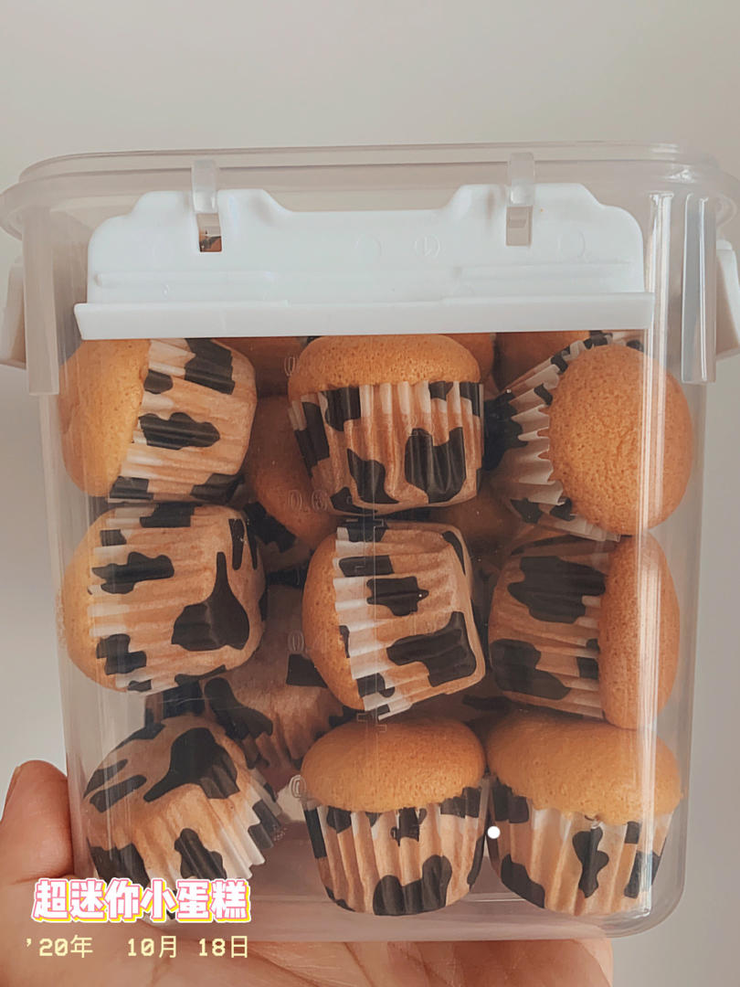 小盆友最喜欢的迷你小蛋糕