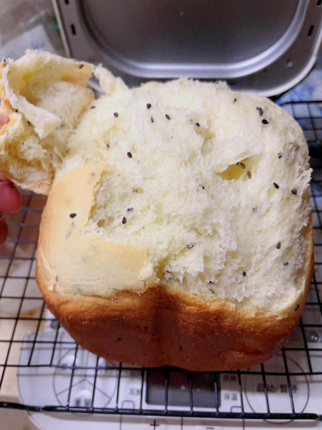 东菱面包机也能做出松软可口的吐司（懒人版）