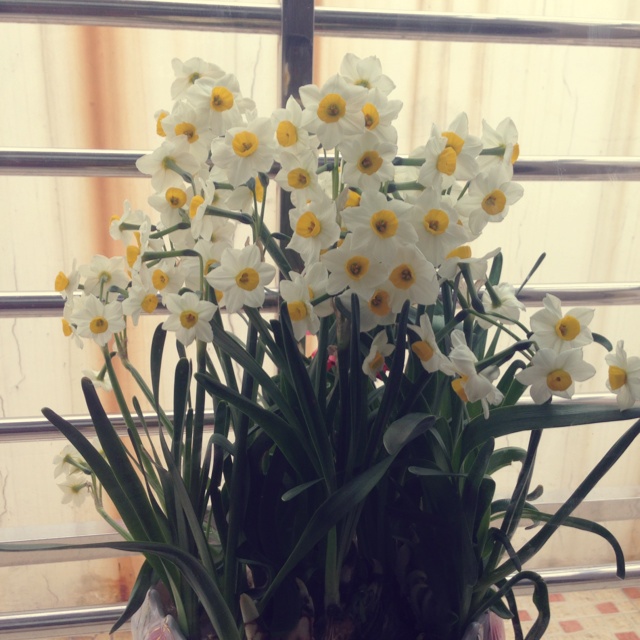 记录生活简单而美好的小确幸