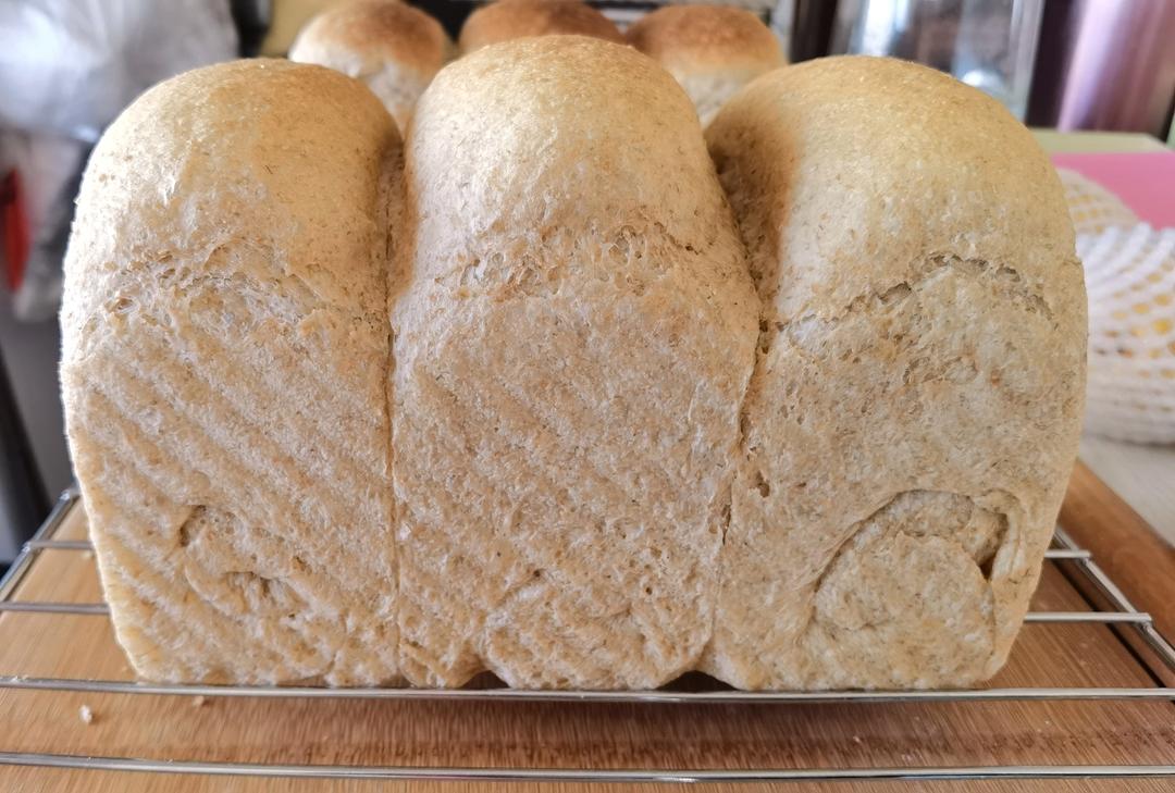 低脂椰香吐司，不加椰蓉和黄油也很香！