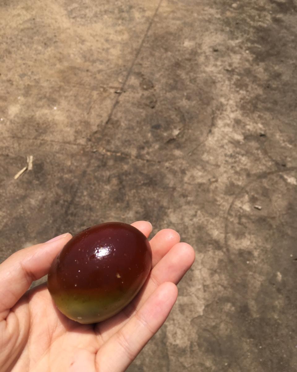 自制皮蛋，松花蛋