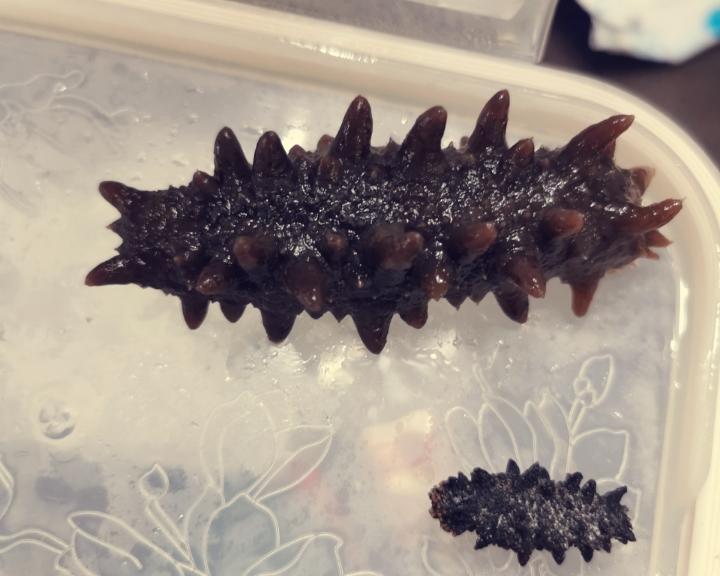 泡发海参