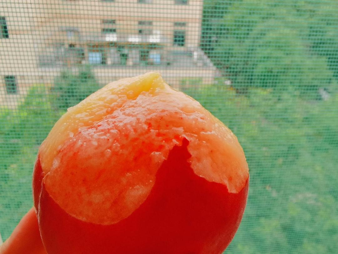 果食记