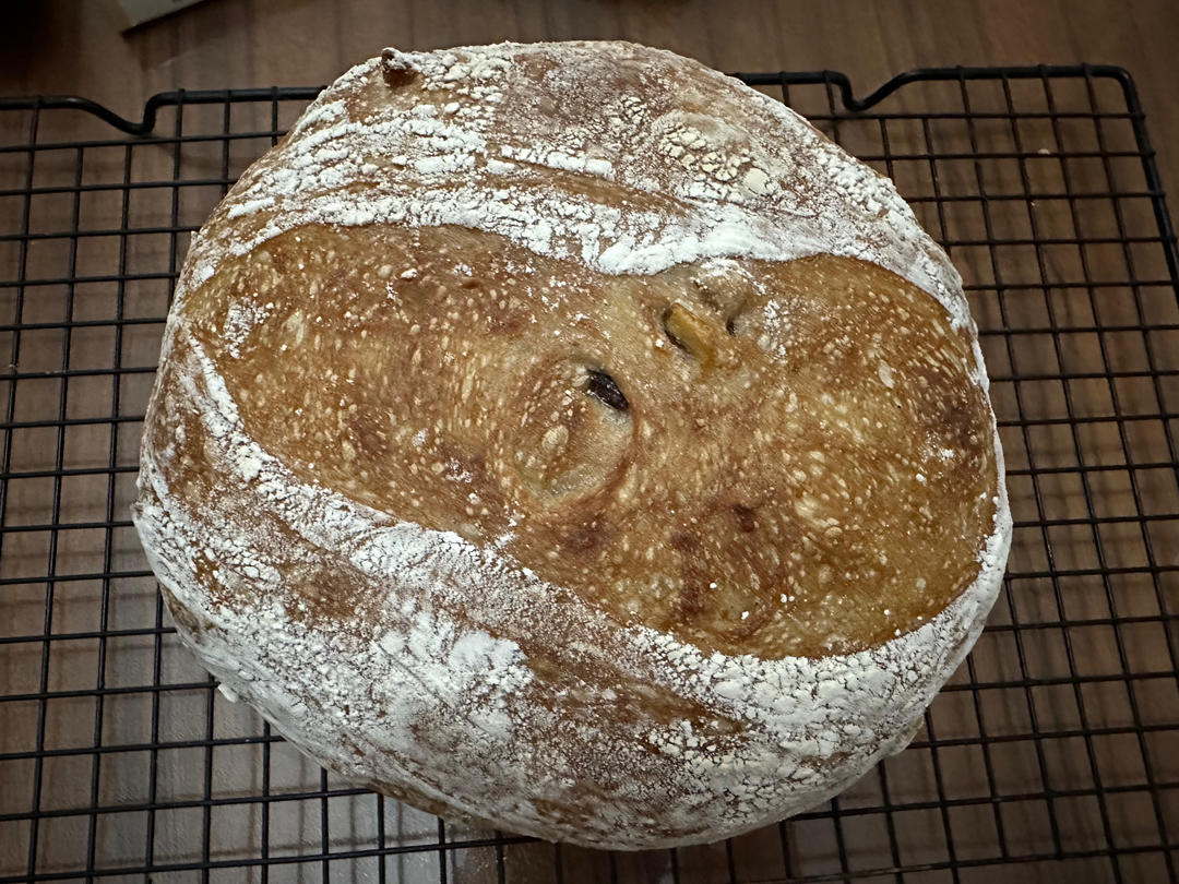 欧包的秘密（免揉/大孔洞/核桃/超简单）