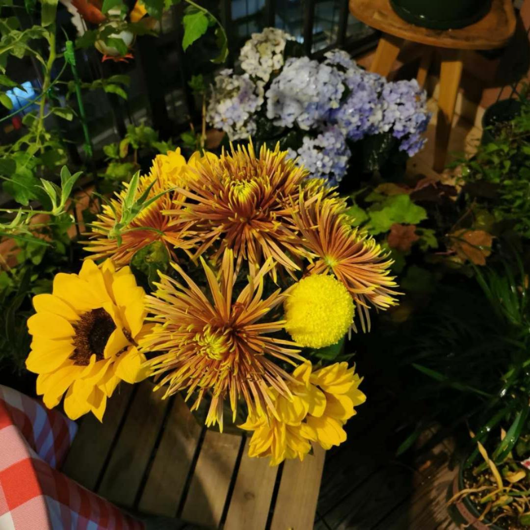 你的厨房有我之后再不是厨房