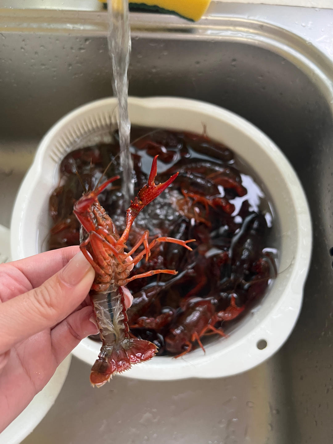 无敌盱眙十三香小龙虾