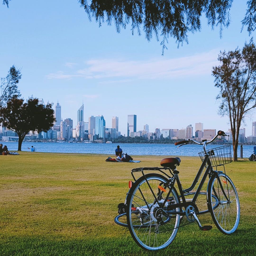 浮生晓白