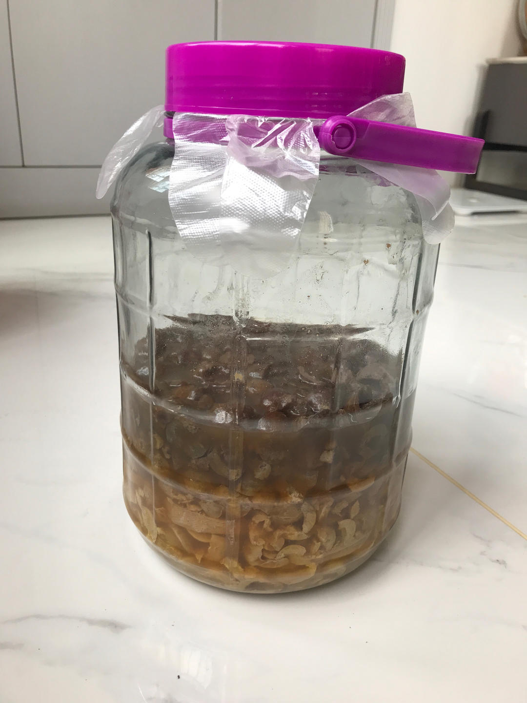 🍋给胃加油的油甘酵素   🍋