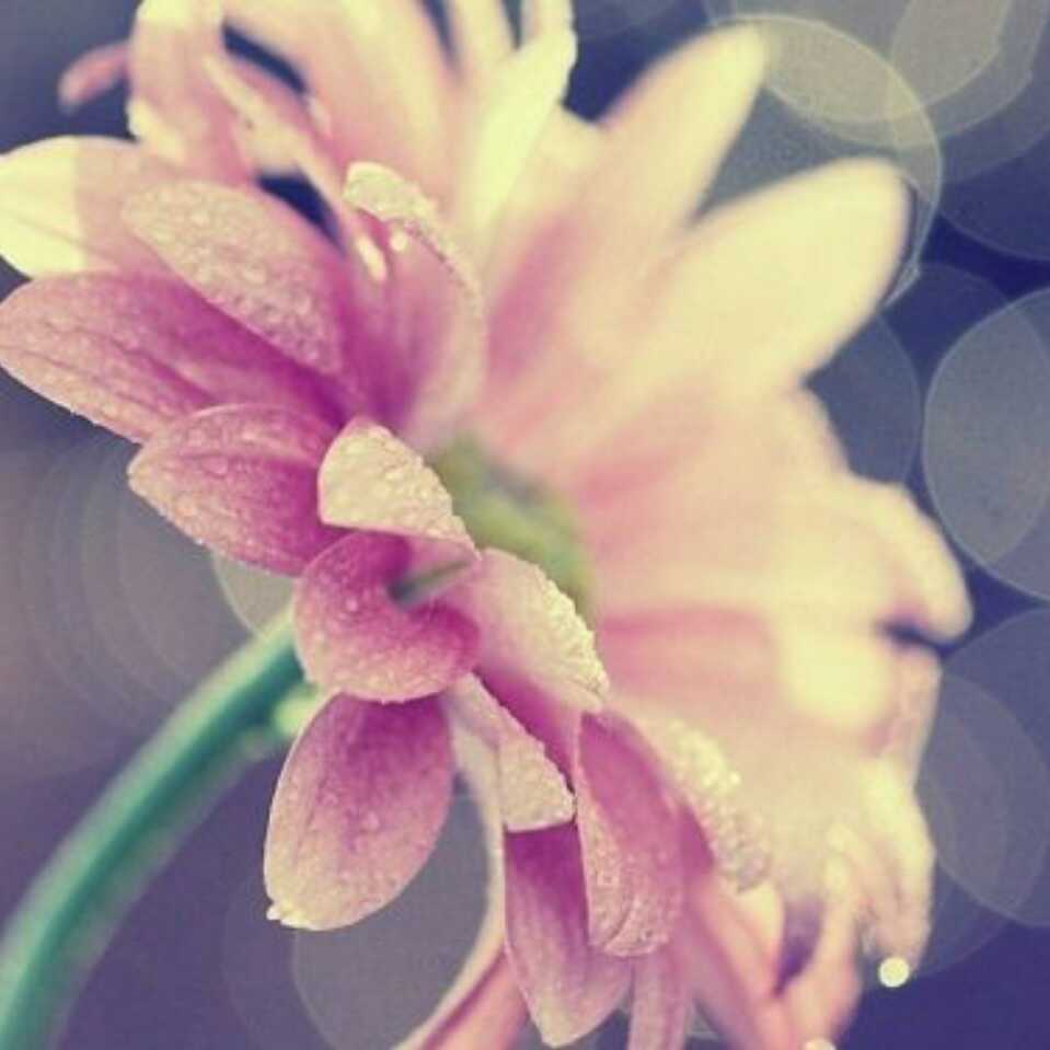 兜里还有糖
