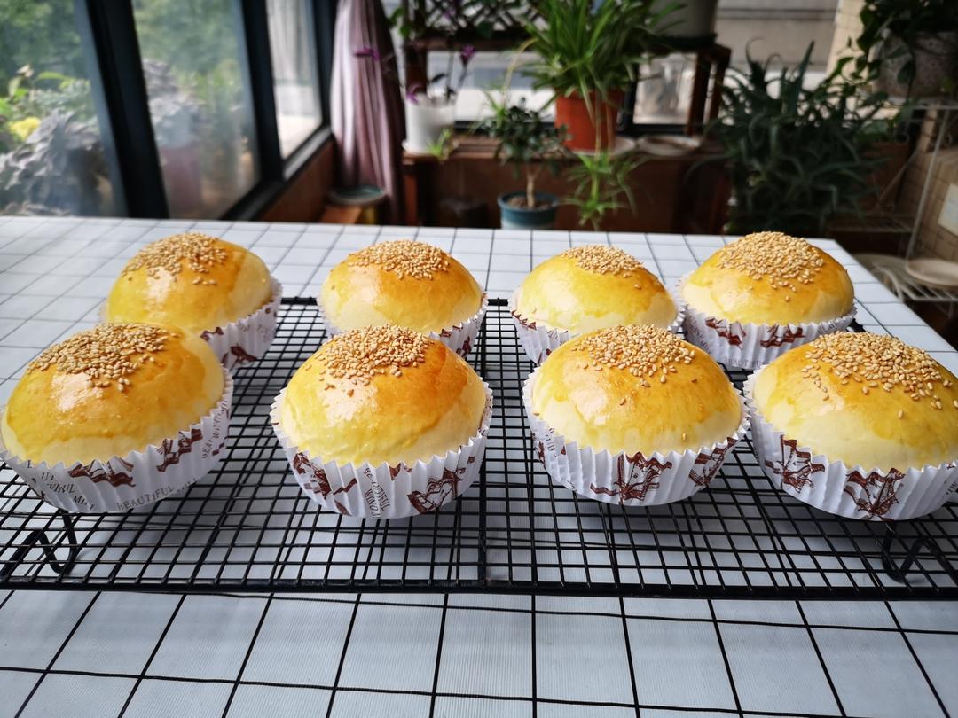 松软烫种汉堡胚