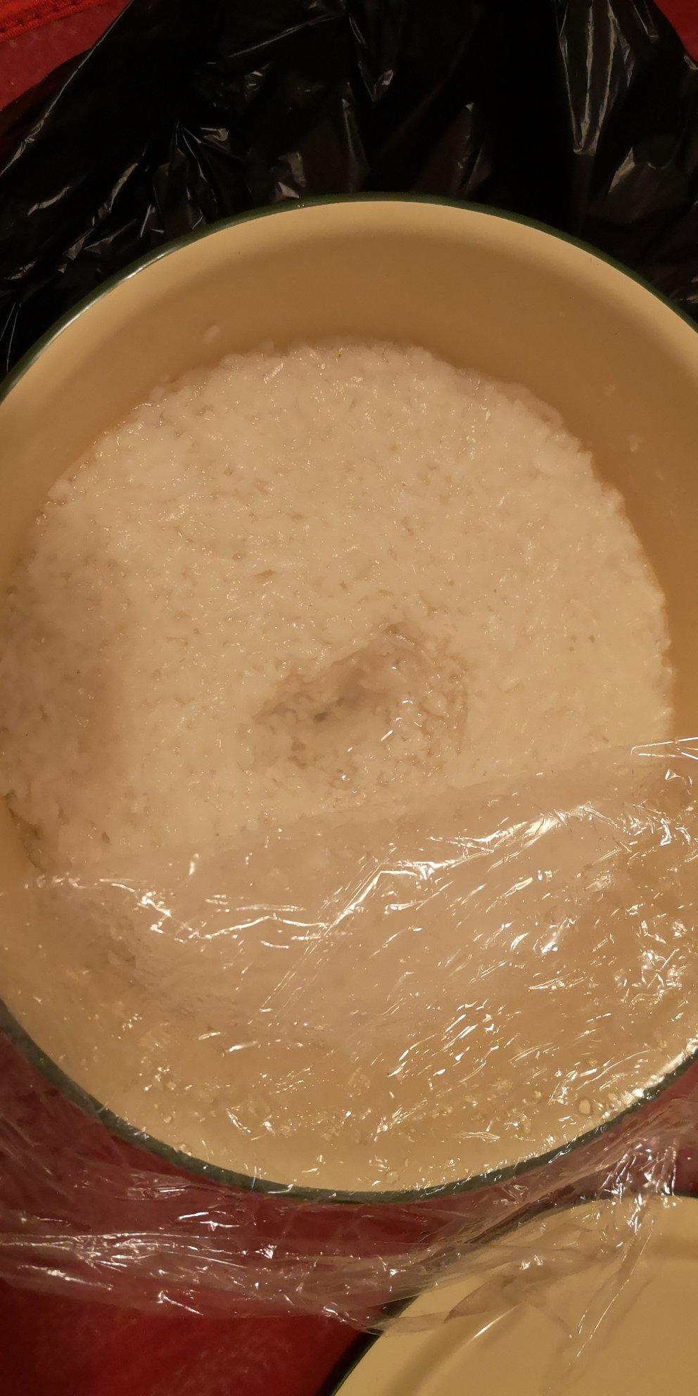 酒酿 (酒酿系列一）