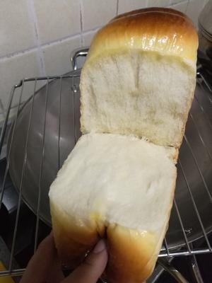 北海道吐司「很勾魂的一款面包」的做法 步骤12