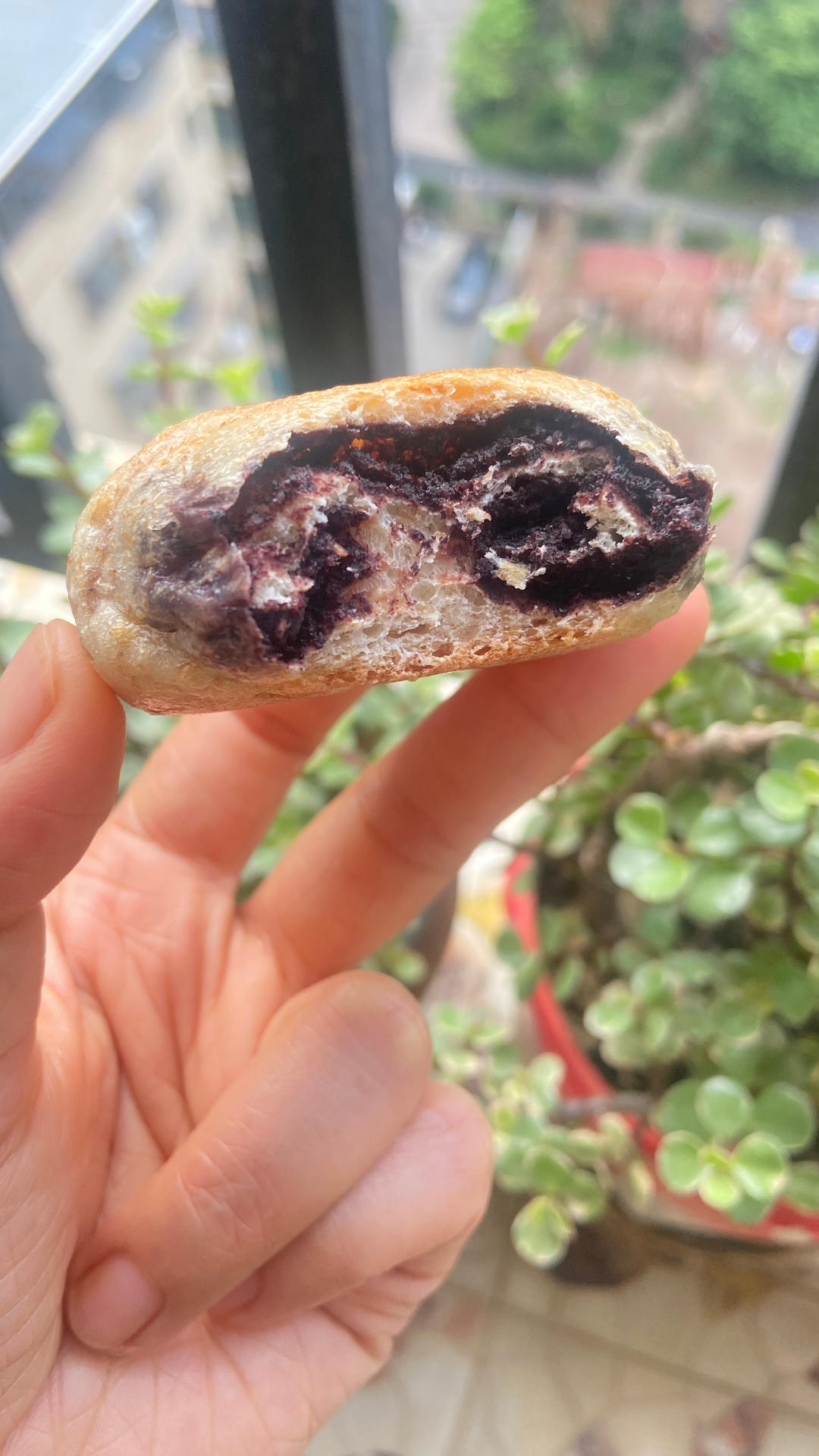 无糖低油也很软的50%全麦贝果，减肥控糖健身都能吃