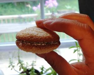 零失败外形酷似马卡龙的法式甜点-芝士布雪蛋糕bouchee的做法 步骤19