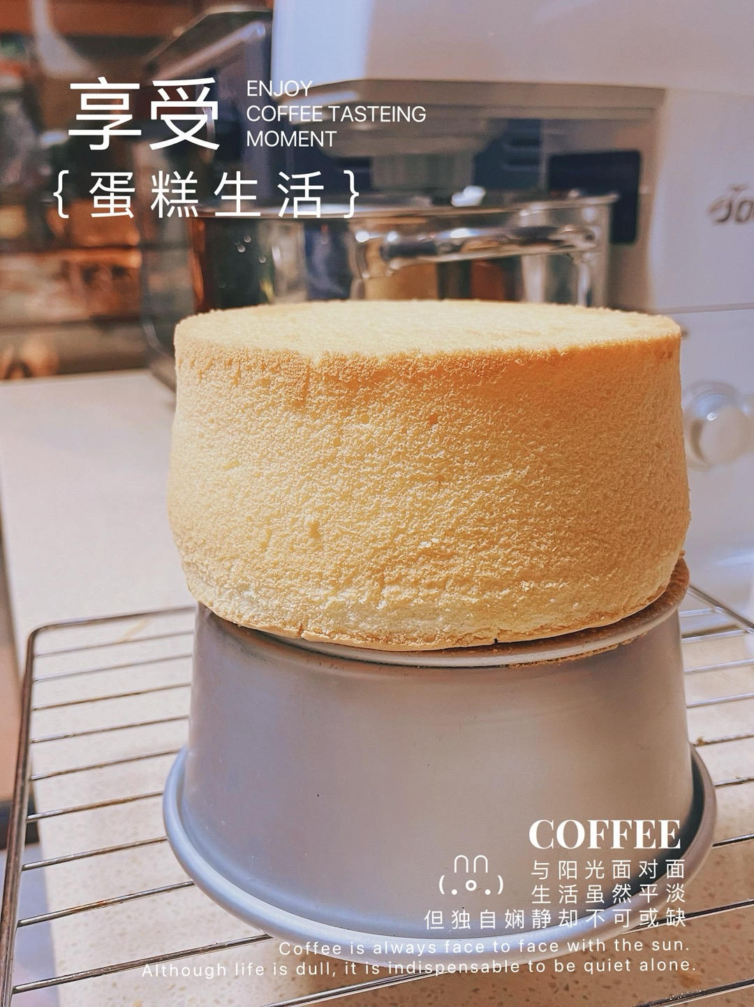 超柔软6寸戚风蛋糕(附8寸配方)零失败 超详细‼️含操作视频