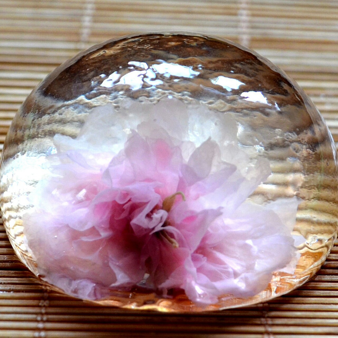 日本最温柔的梦幻和菓子 — 水信玄饼