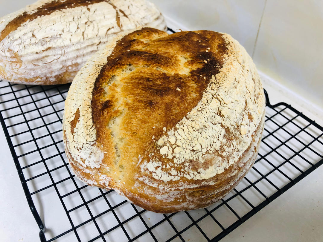 3.5小时快速直接法欧包丨免揉免机打免酵种