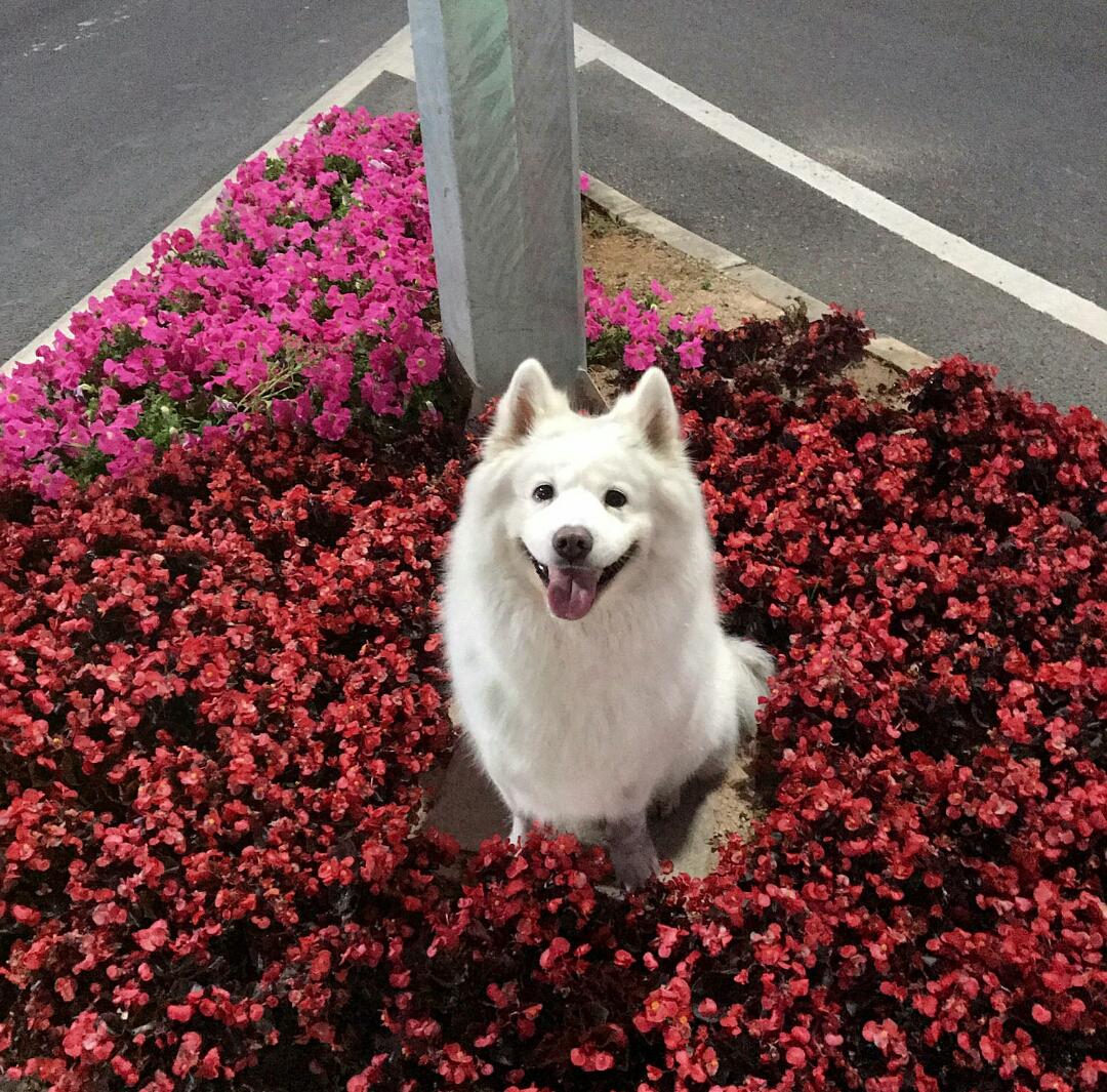 立志做一位美厨娘