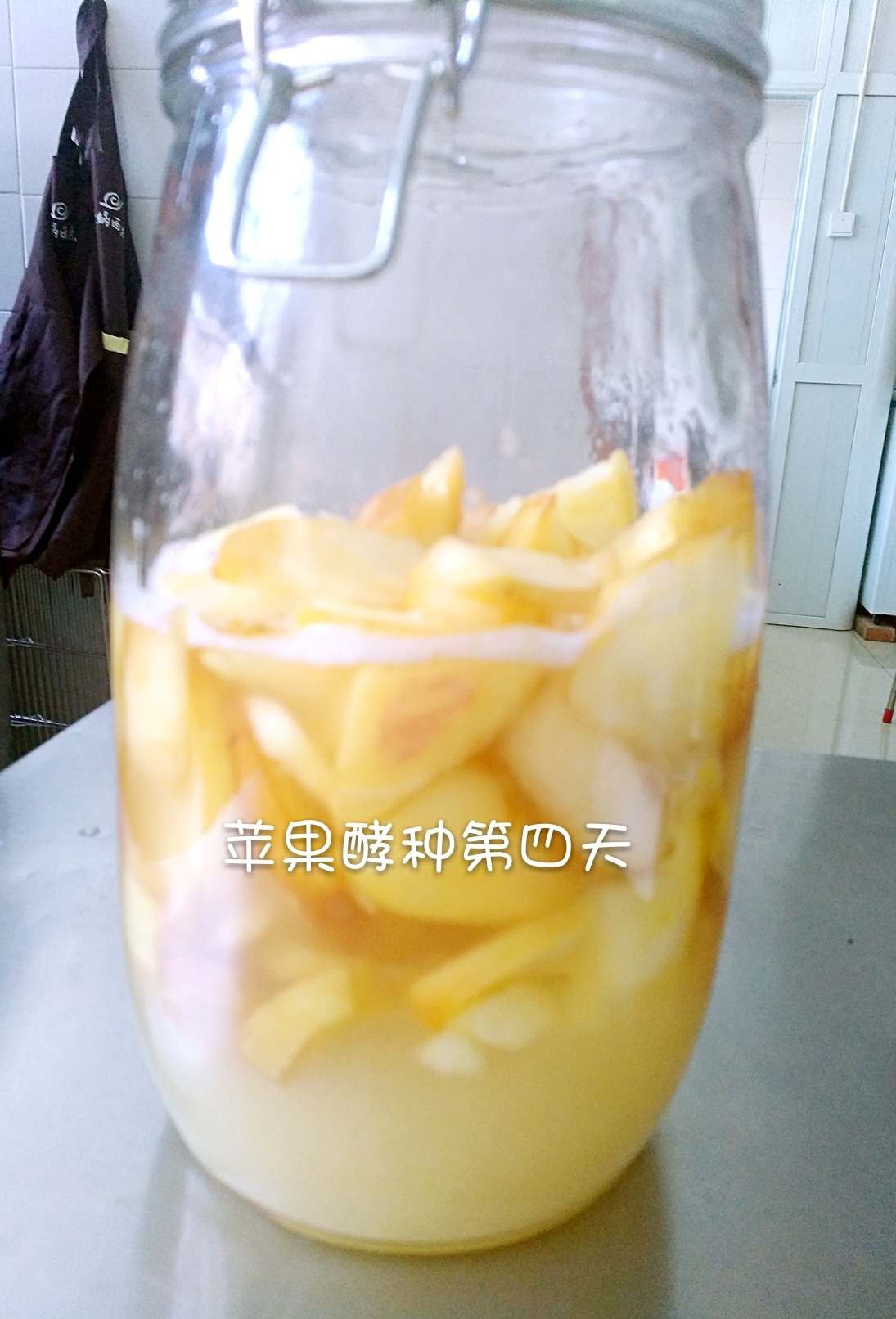 苹果酵种的做法 步骤4