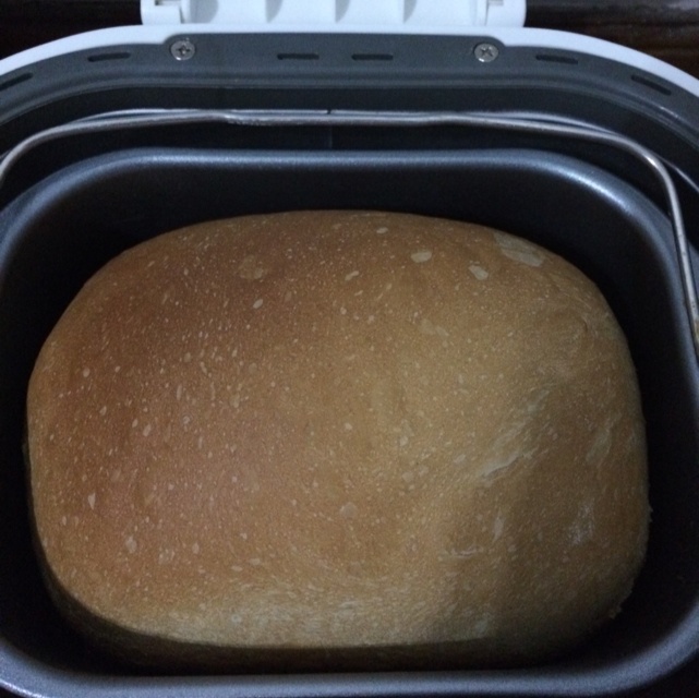 ACA面包机版葡萄干甜面包