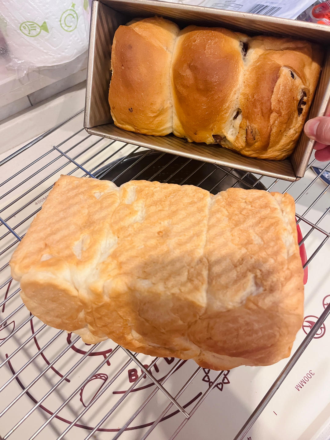 《Tinrry+》软绵绵的白吐司