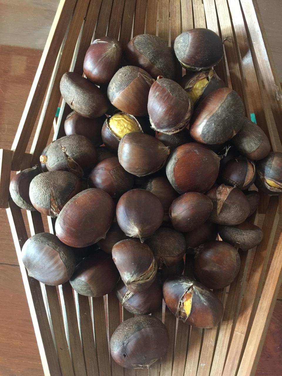 新手零失败烤栗子