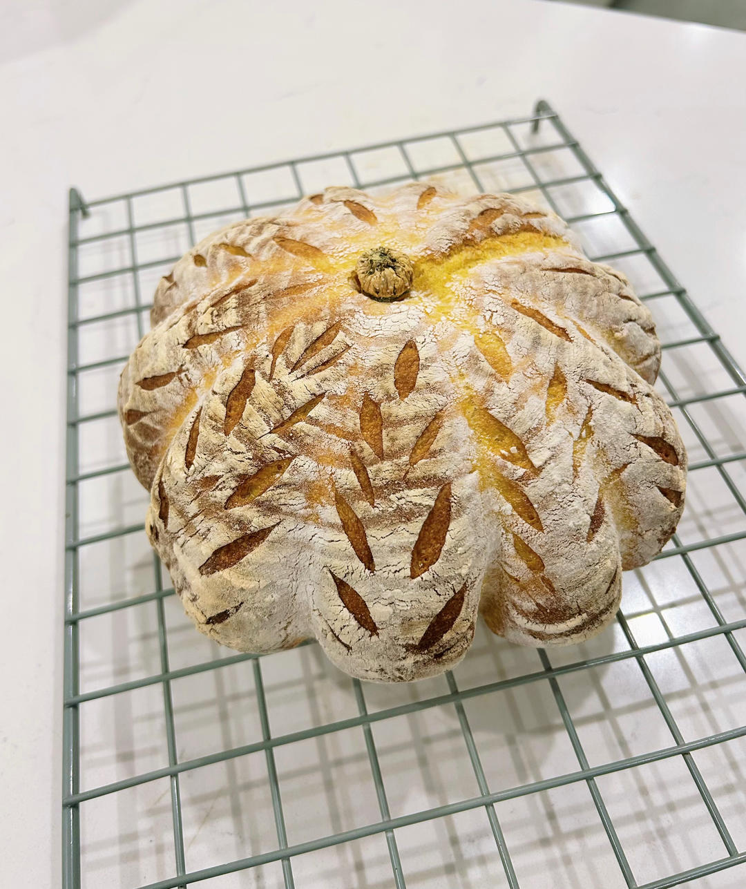 全素无油低糖低脂南瓜欧包