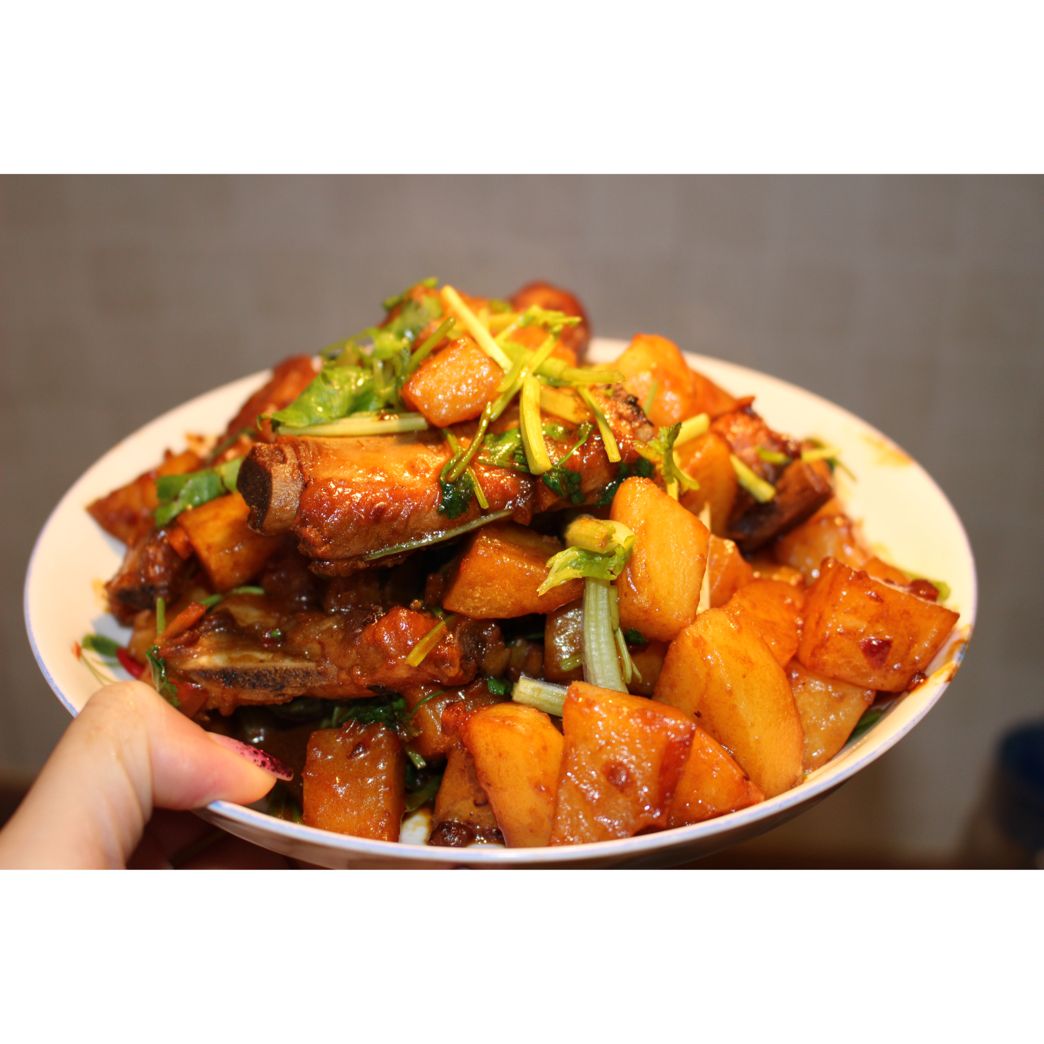 川味土豆烧排骨